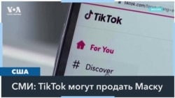 Купит ли Илон Маск TikTok в США за 50 миллиардов долларов? 